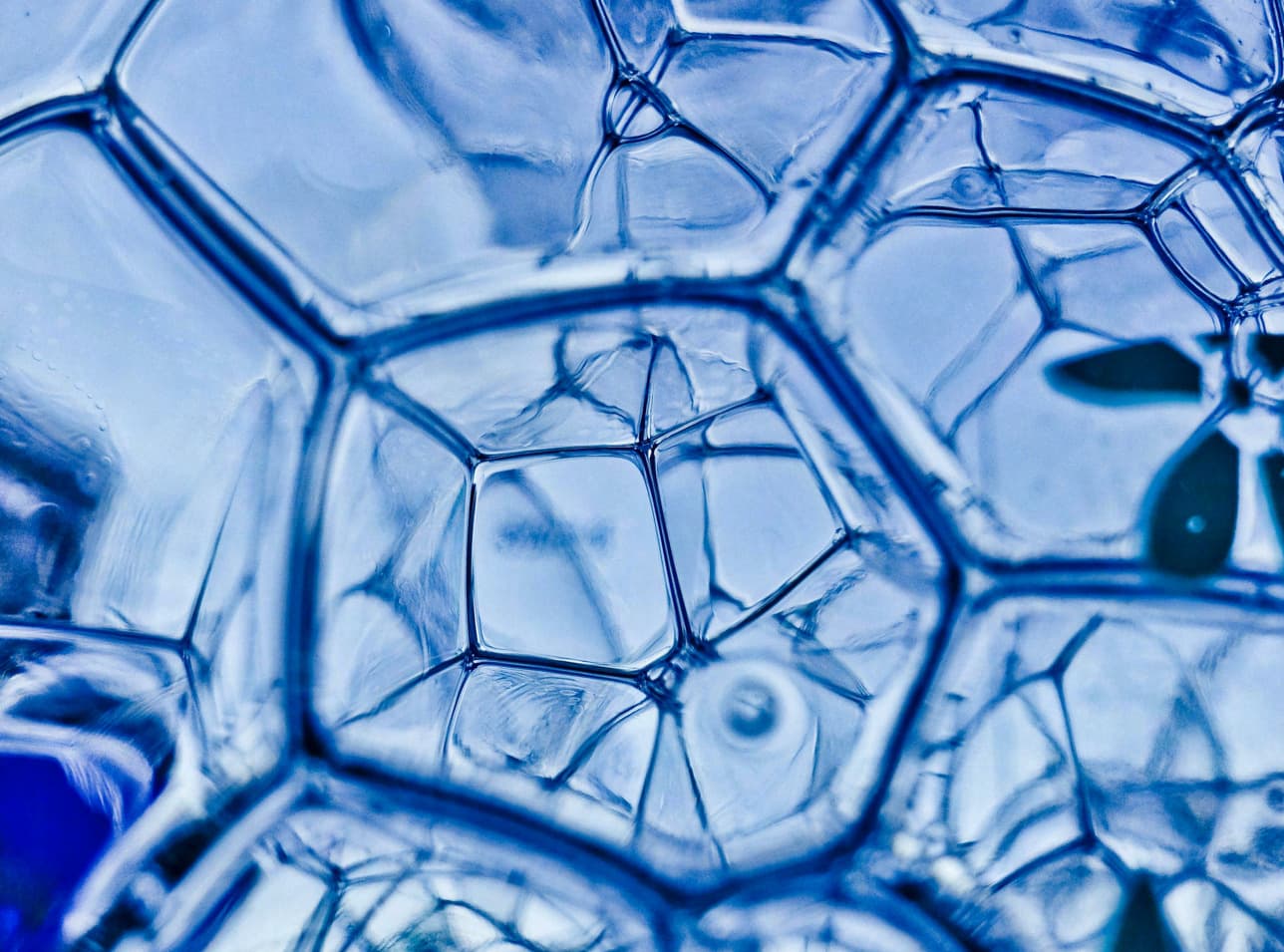 Blue cellular structure viewed through a microscope